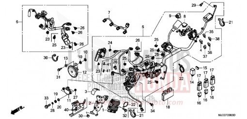 FAISCEAU DES FILS CB650FAG de 2016